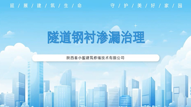 �����ֳ���©����