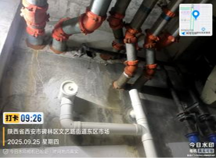 �����Ҷ�©