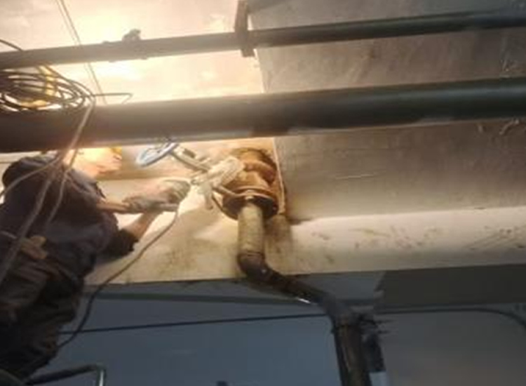 �����Ҷ�©