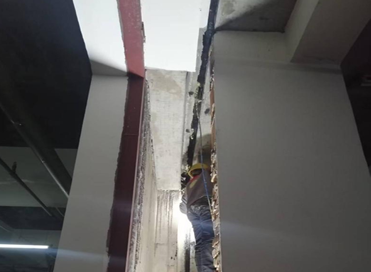 �����Ҷ�©