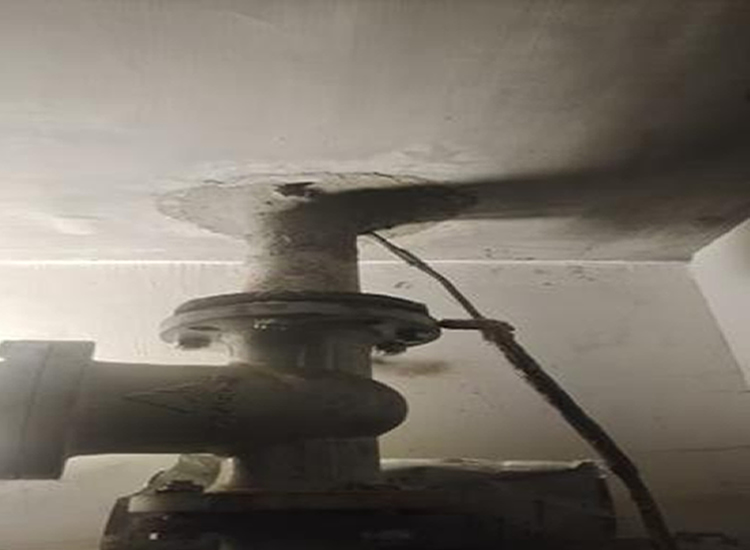 �����Ҷ�©