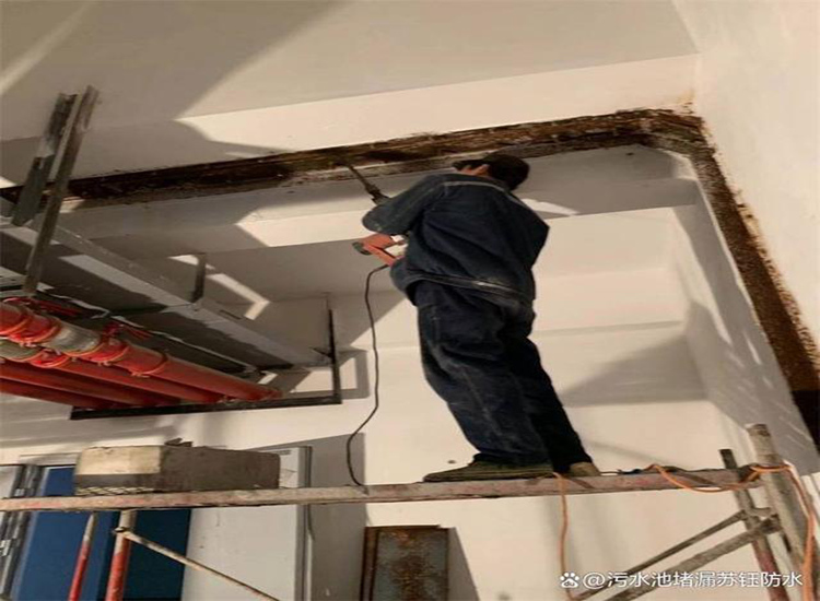 �������©