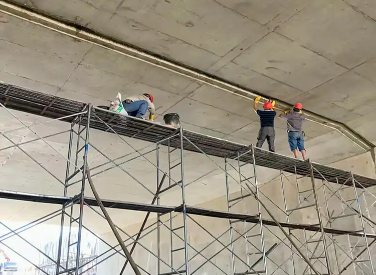 �������©