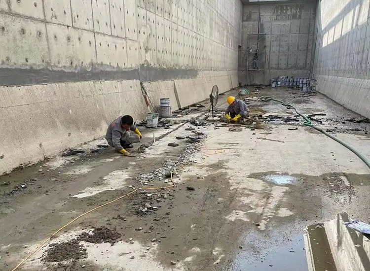 �������©