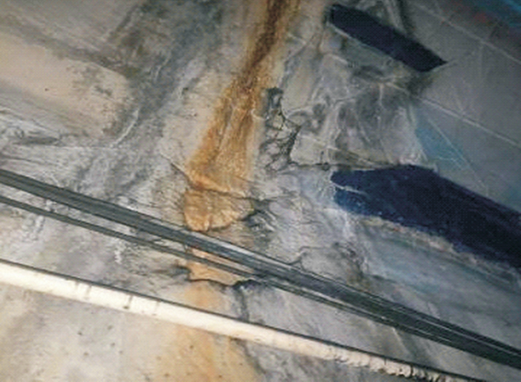 ������©