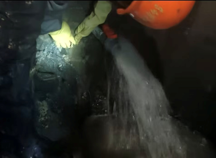 ������©