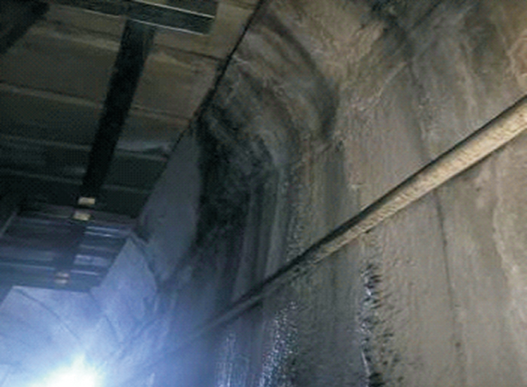 ������©