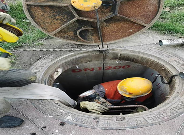 ������©