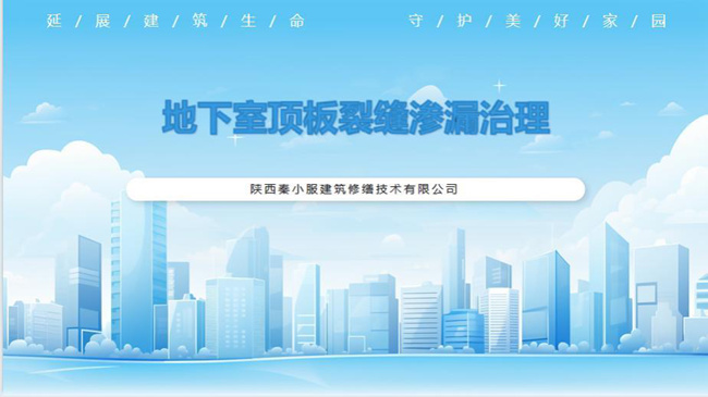 �����Ҷ����ѷ���©����